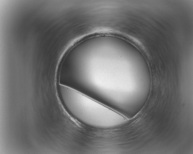X0000063451327200601200944