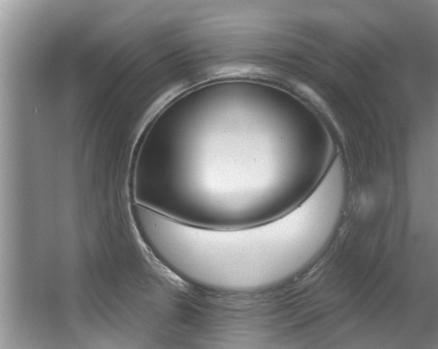 X0000063451330200601200945