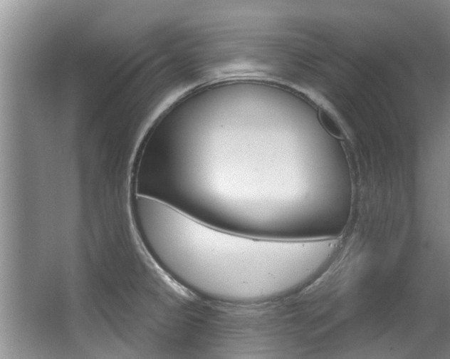 X0000063451333200601200945