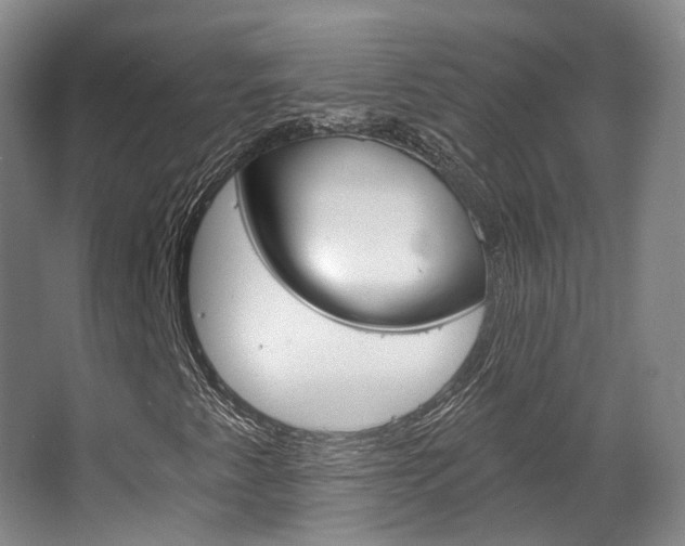 X0000063451345200601200944