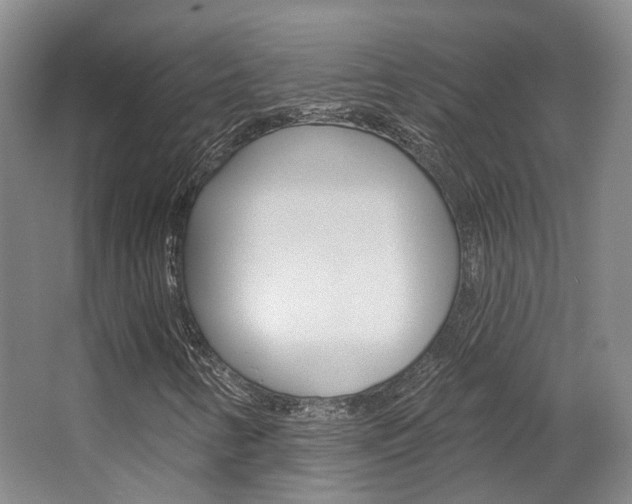X0000063451346200601200944
