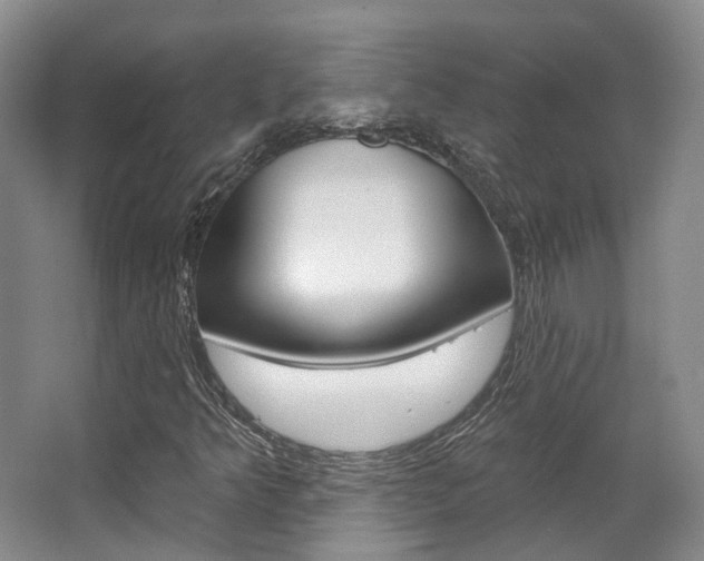 X0000063451349200601200944