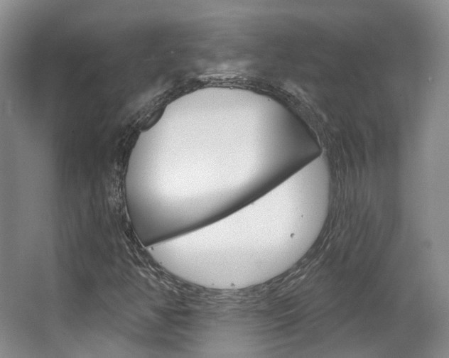 X0000063451350200601200944
