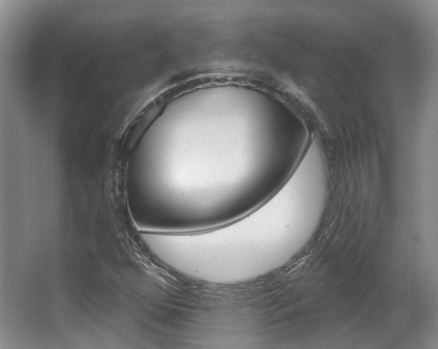 X0000063451352200601200944