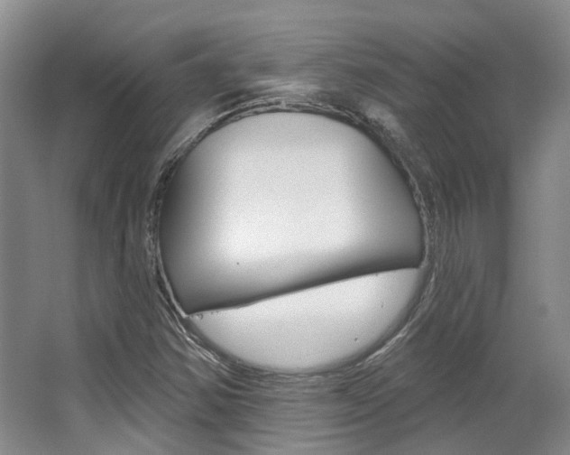 X0000063451354200601200944