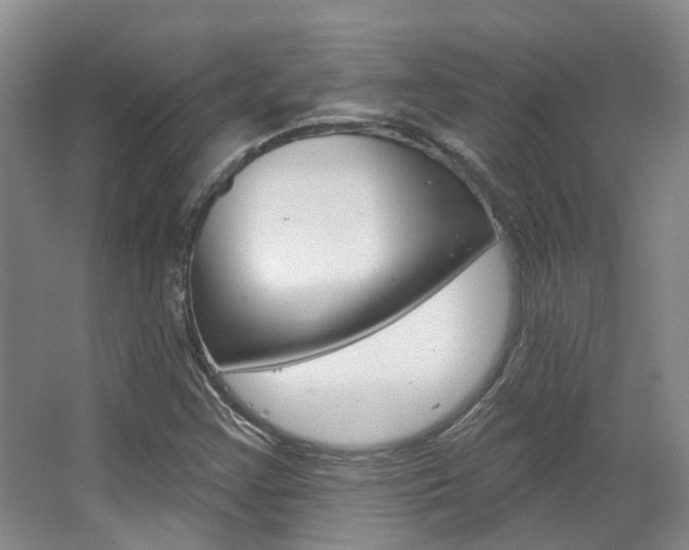 X0000063451355200601200944