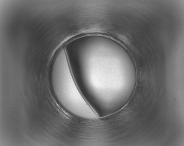 X0000063451356200601200944