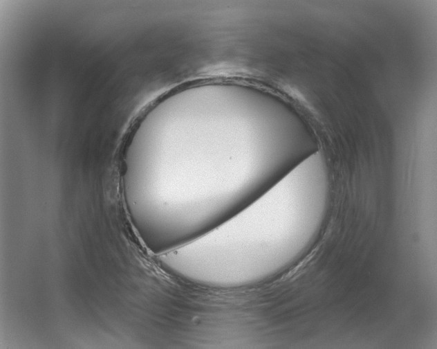 X0000063451358200601200944