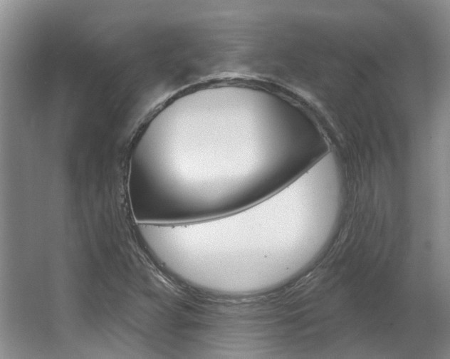 X0000063451359200601200944