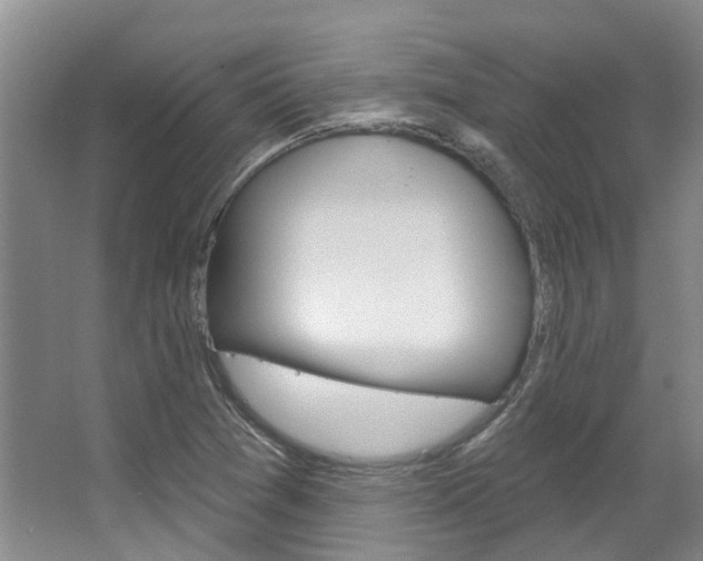 X0000063451361200601200944