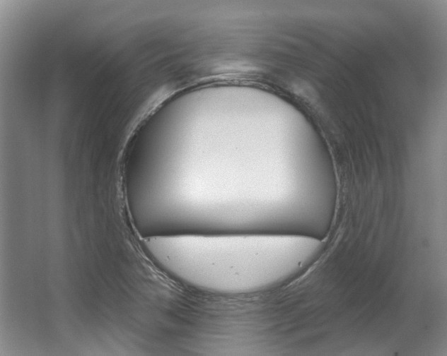 X0000063451362200601200944