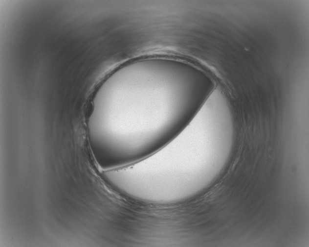 X0000063451363200601200944