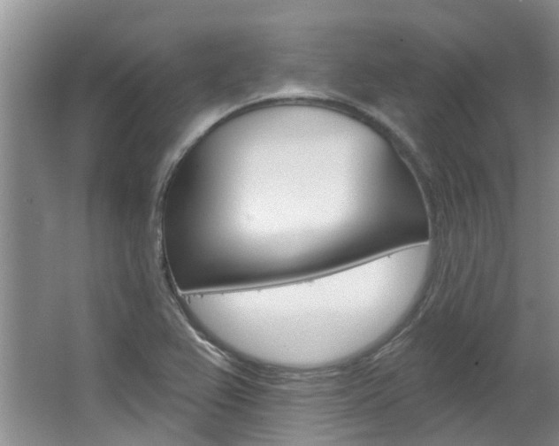 X0000063451367200601200944
