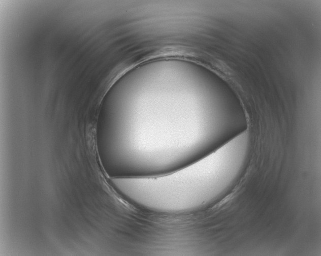 X0000063451369200601200944