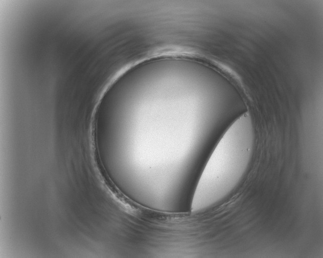 X0000063451375200601200943