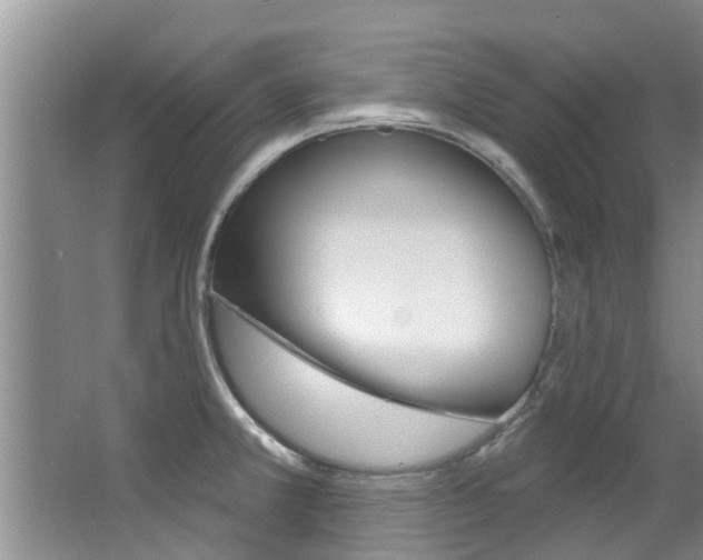 X0000063451381200601200943