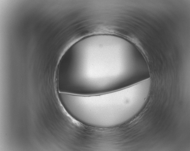 X0000063451387200601200943