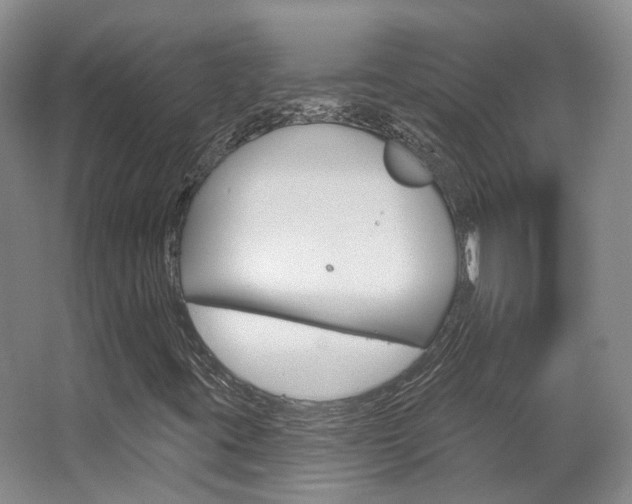 X0000063451395200601200942