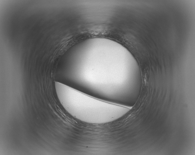 X0000063451396200601200942