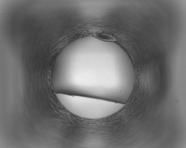 X0000063451397200601200942