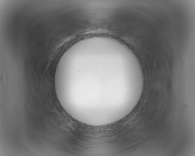 X0000063451398200601200942