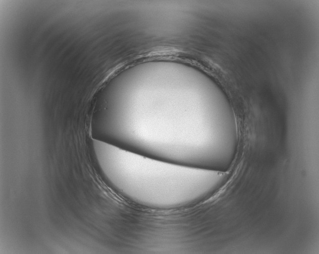 X0000063451401200601200942