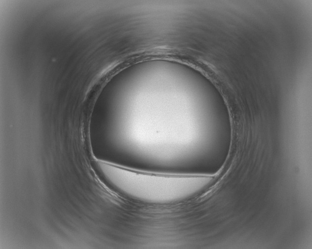 X0000063451402200601200943