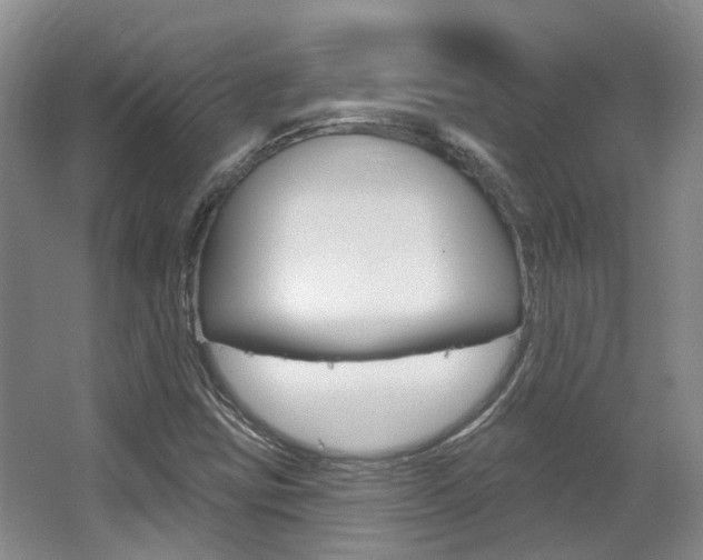 X0000063451403200601200943