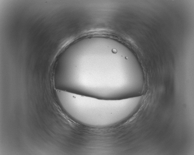 X0000063451405200601200943
