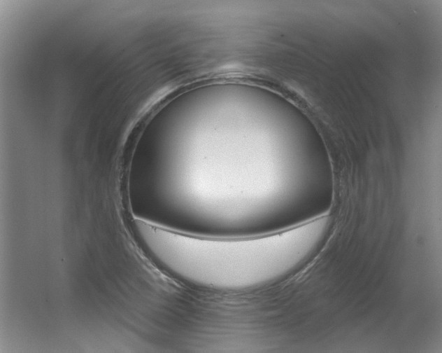 X0000063451410200601200943