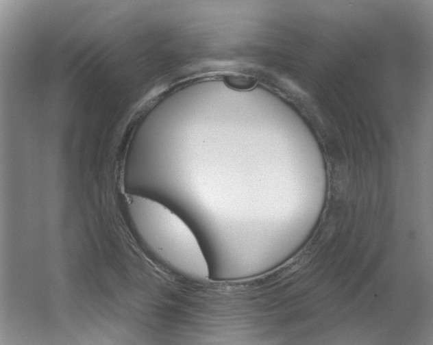 X0000063451411200601200943