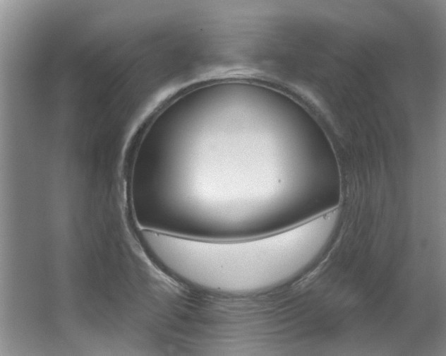 X0000063451414200601200943