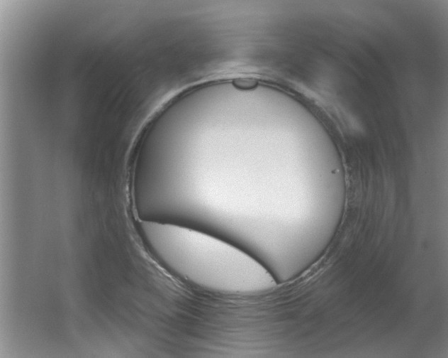 X0000063451415200601200943