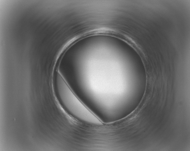 X0000063451418200601200943