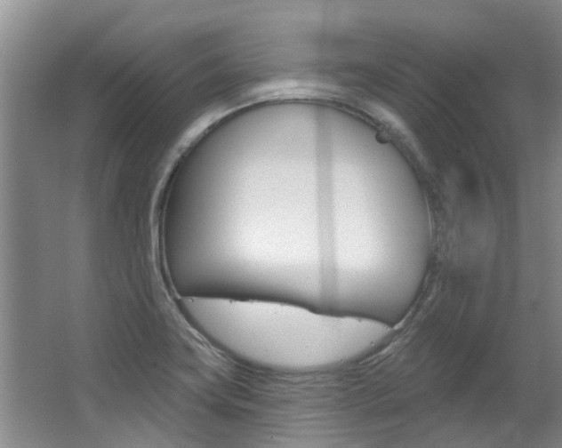 X0000063451419200601200943