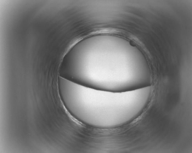 X0000063451425200601200943