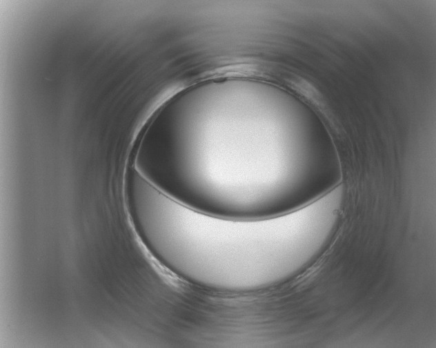 X0000063451426200601200943