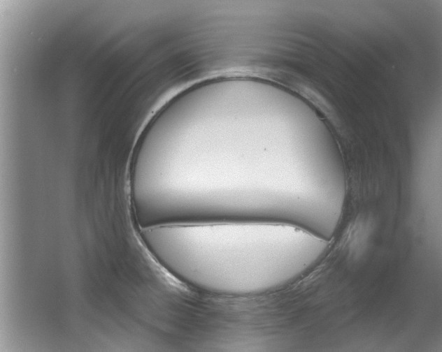 X0000063451428200601200943
