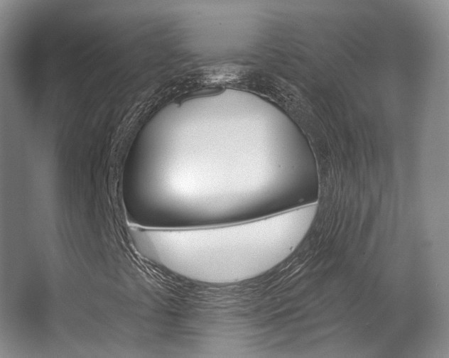 X0000063451441200601200942