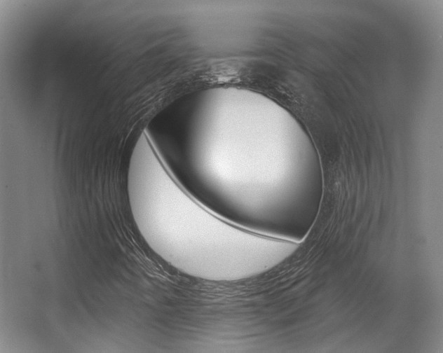X0000063451442200601200942