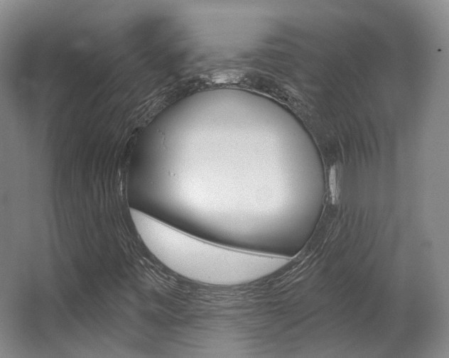 X0000063451443200601200942