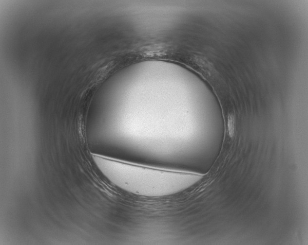 X0000063451444200601200942