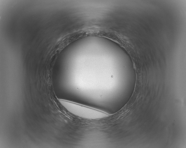 X0000063451445200601200942