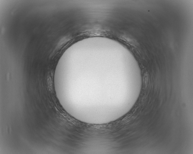 X0000063451446200601200942