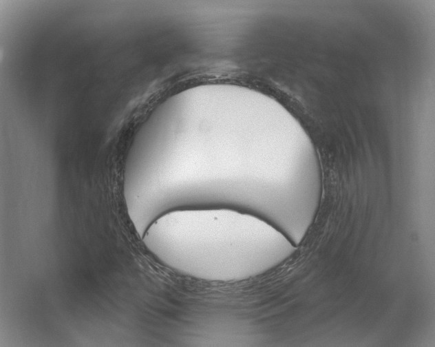 X0000063451447200601200942