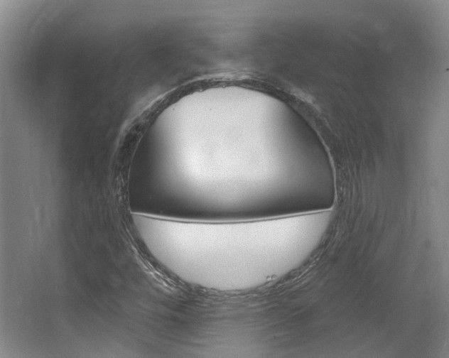 X0000063451448200601200942