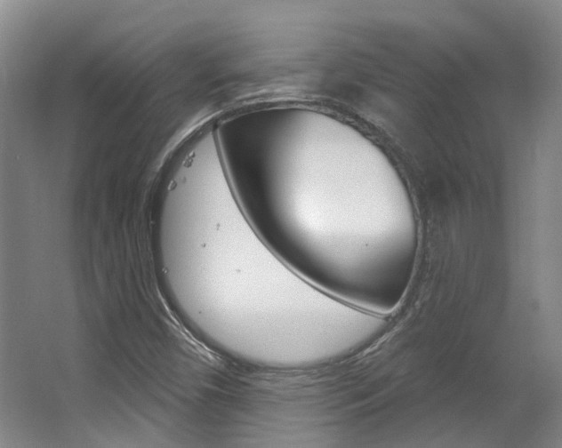 X0000063451450200601200942