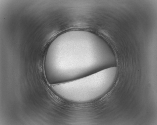 X0000063451451200601200942