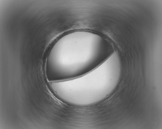 X0000063451452200601200942