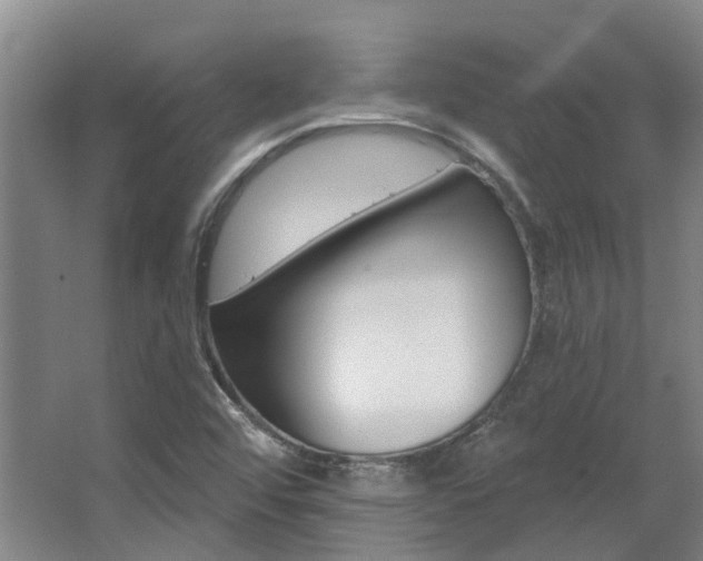 X0000063451456200601200942